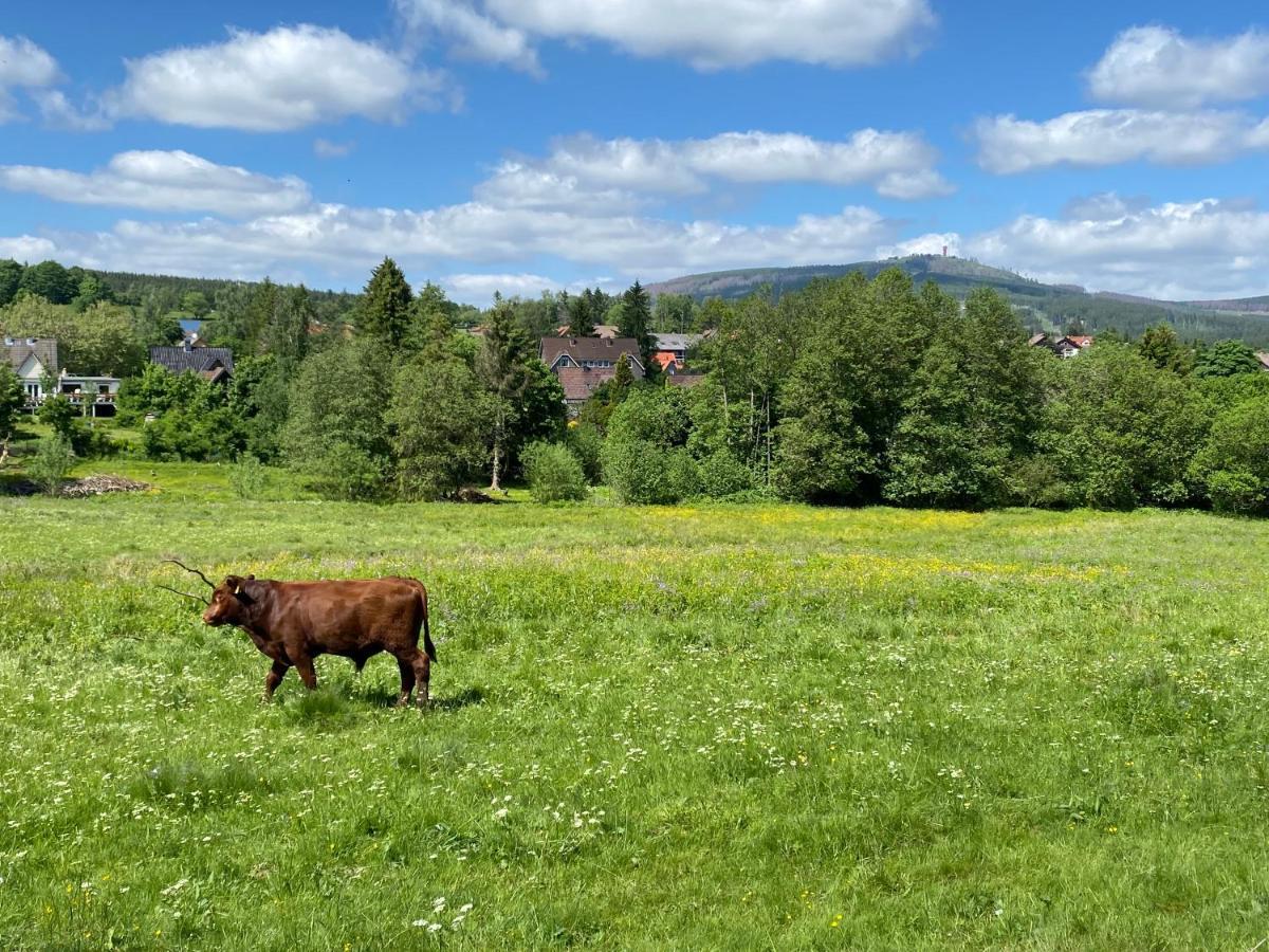 Berglage - Das Urlaubzuhause Braunlage Εξωτερικό φωτογραφία